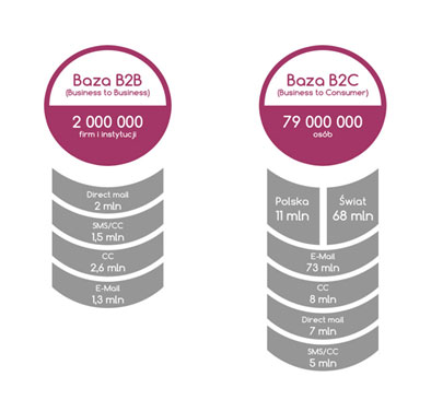 Rycina nr 1. Podsumowanie posiadanych przez DBMS zasobów. 